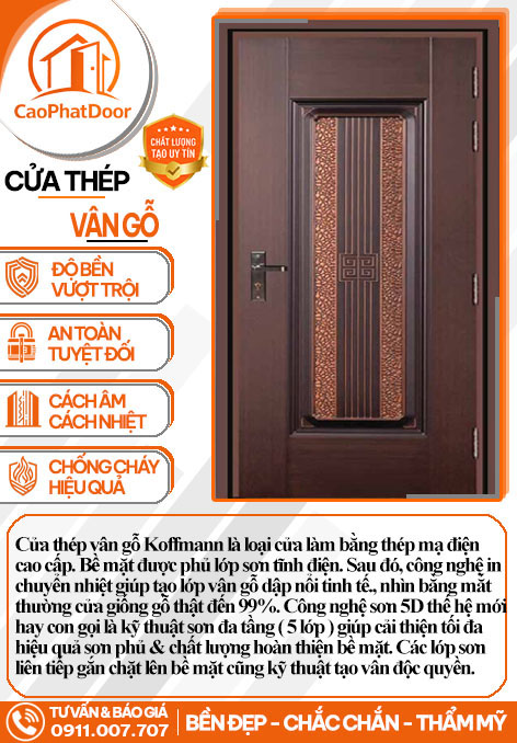 Cửa Thép Vân Gỗ